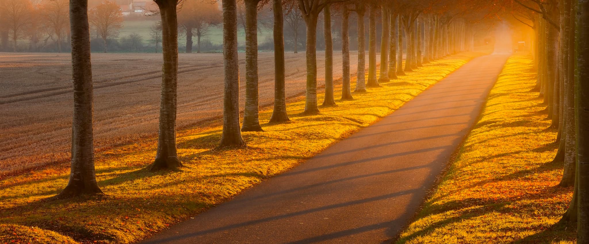 Swift Apps business planning and visualization applications banner